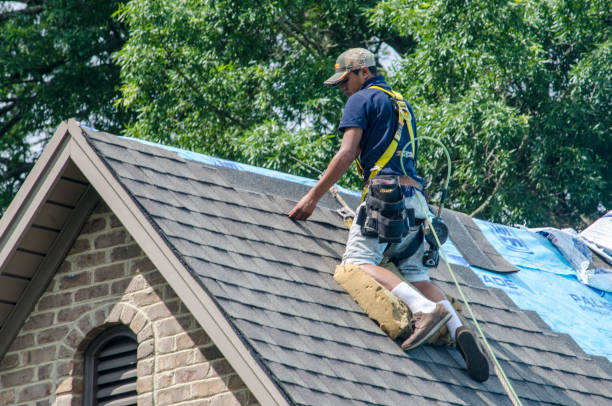 Best Roof Gutter Cleaning  in Orange Cove, CA